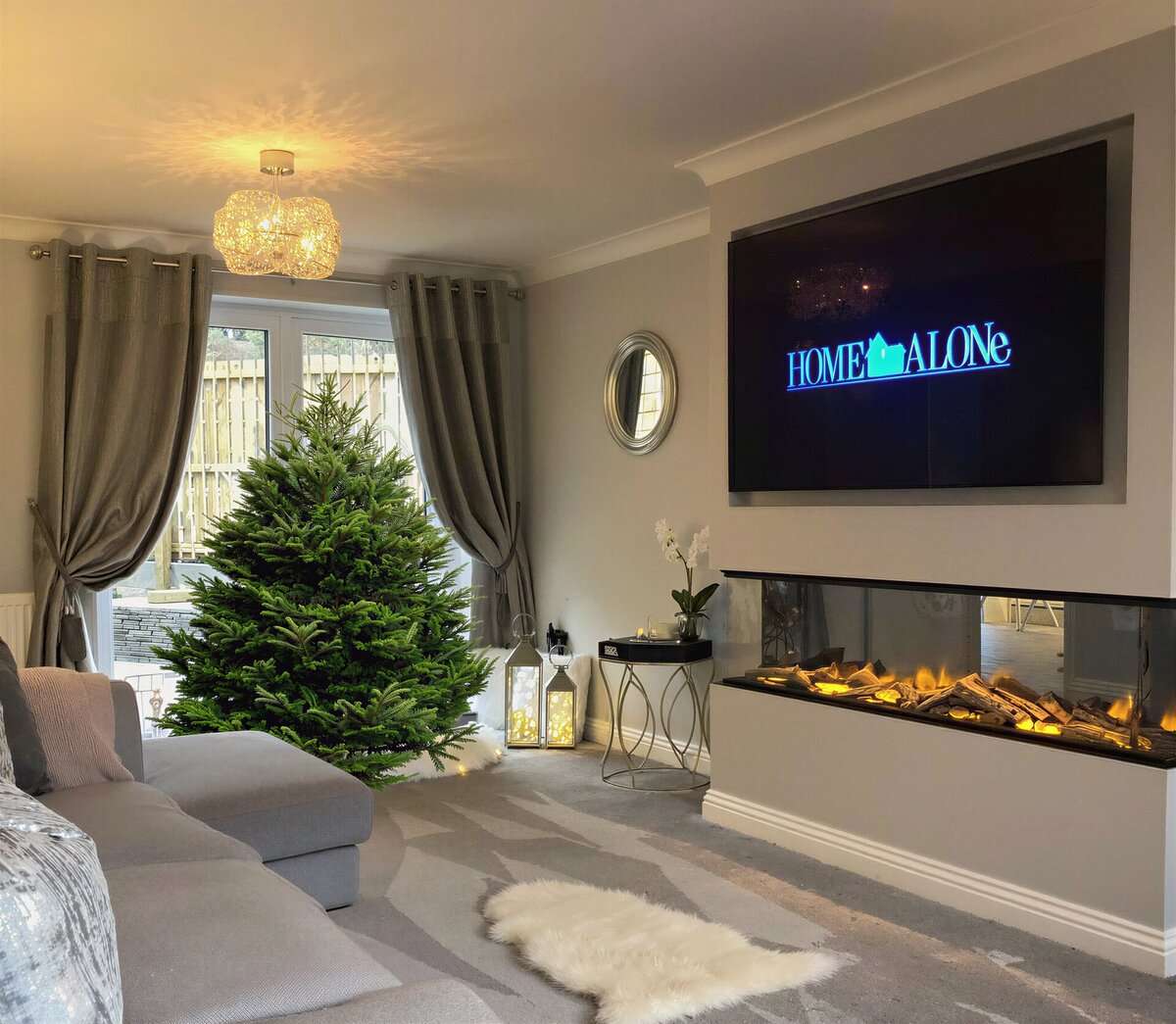 Датская Пихта Нордмана вид 2